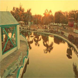 I Have A Beautiful Resort In Indore, Indore 1